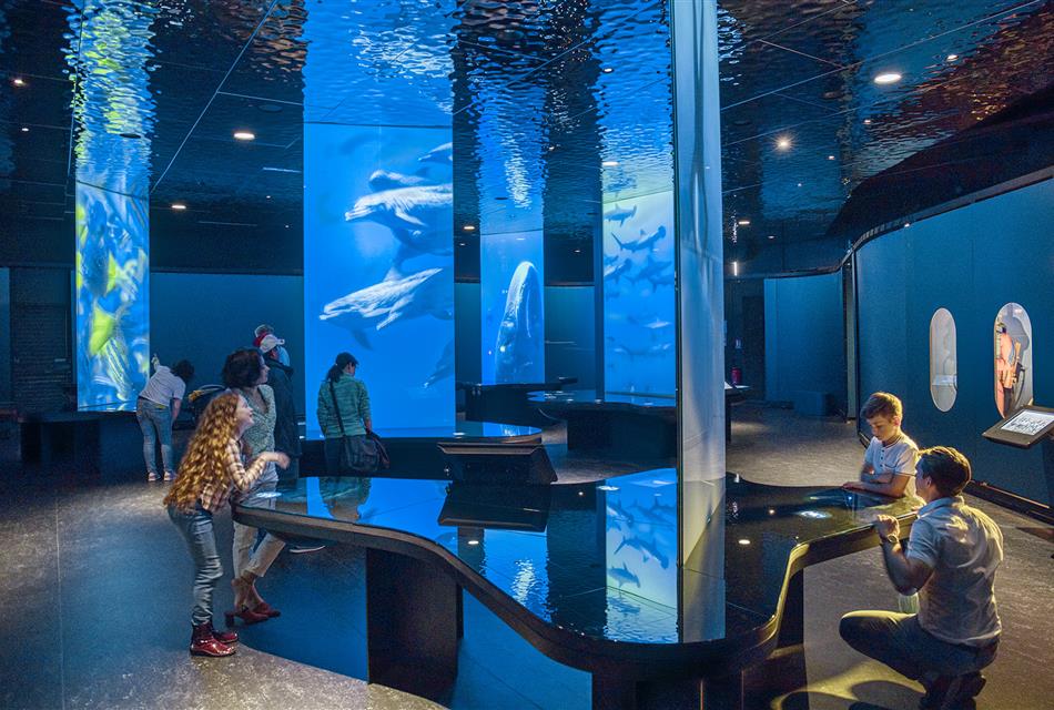 Aquarium "cité de la mer"